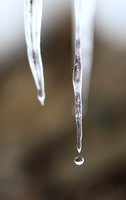 Macro ice drip.